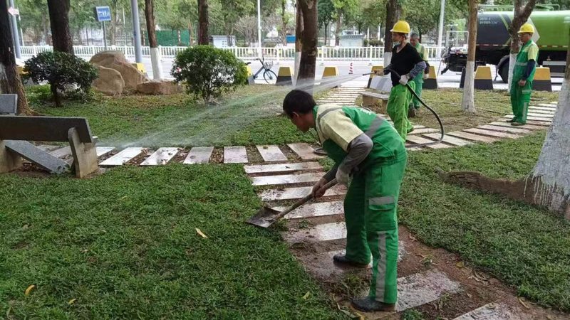 市政道路绿化施工监理要点解析
