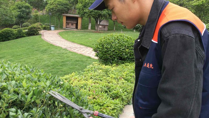 公园绿化施工流程及标准解析