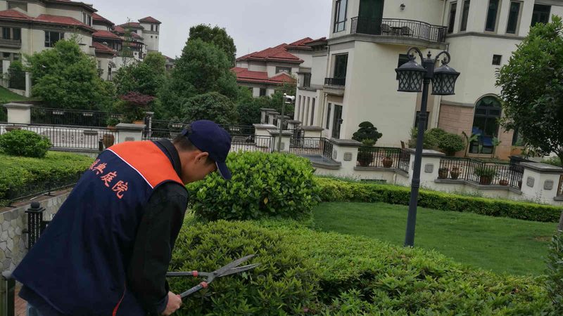 年检的内容主要包括以下几个方面：
