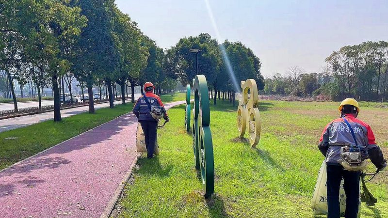揭秘绿化设计施工公司：如何选择真正靠谱的合作伙伴