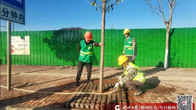 假山喷泉过滤系统安装：关键步骤与注意事项**