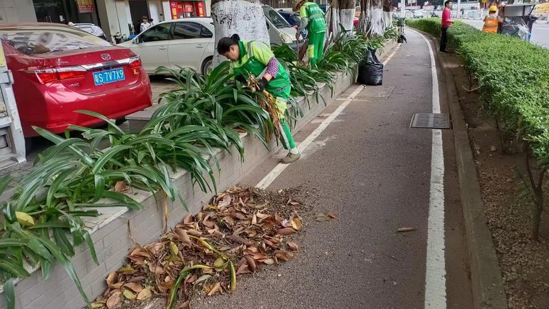 小区园林景观设计公司推荐