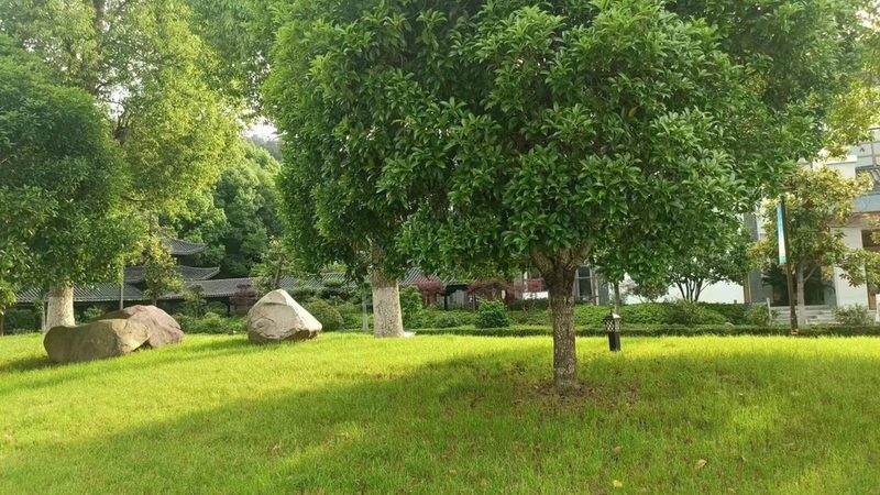 屋顶绿化材料费用是构成每平米价格的主要部分，包括但不限于以下几种：