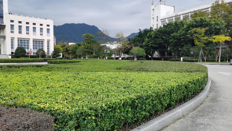 别墅花园设计风格对比：打造个性空间的秘诀**