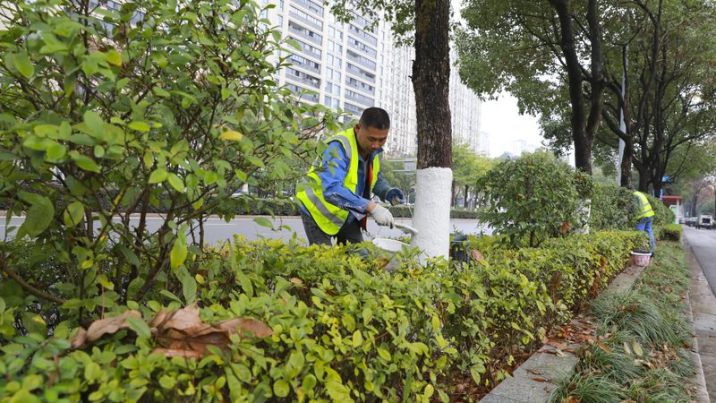 园林绿化与市政绿化造价对比：揭秘影响因素**