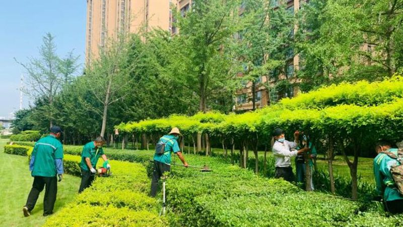 小型别墅花园设计：费用构成与施工要点